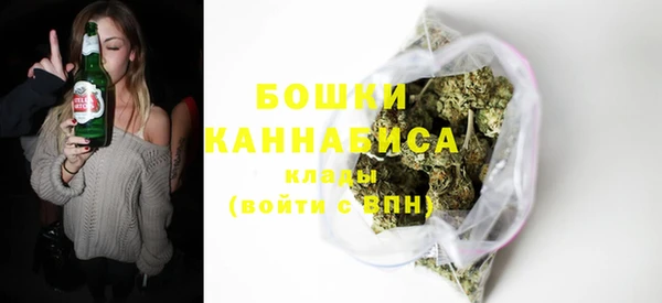 эйфоретик Богданович