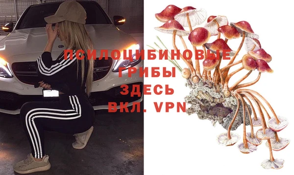 ECSTASY Бугульма