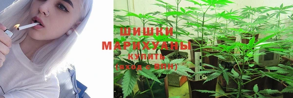 индика Верея