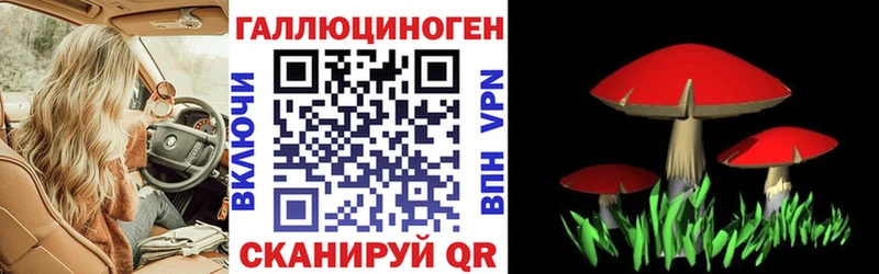 где купить наркоту  Жуков  Псилоцибиновые грибы Magic Shrooms 